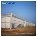 multi-span film vegetables greenhouse with hydroponic system